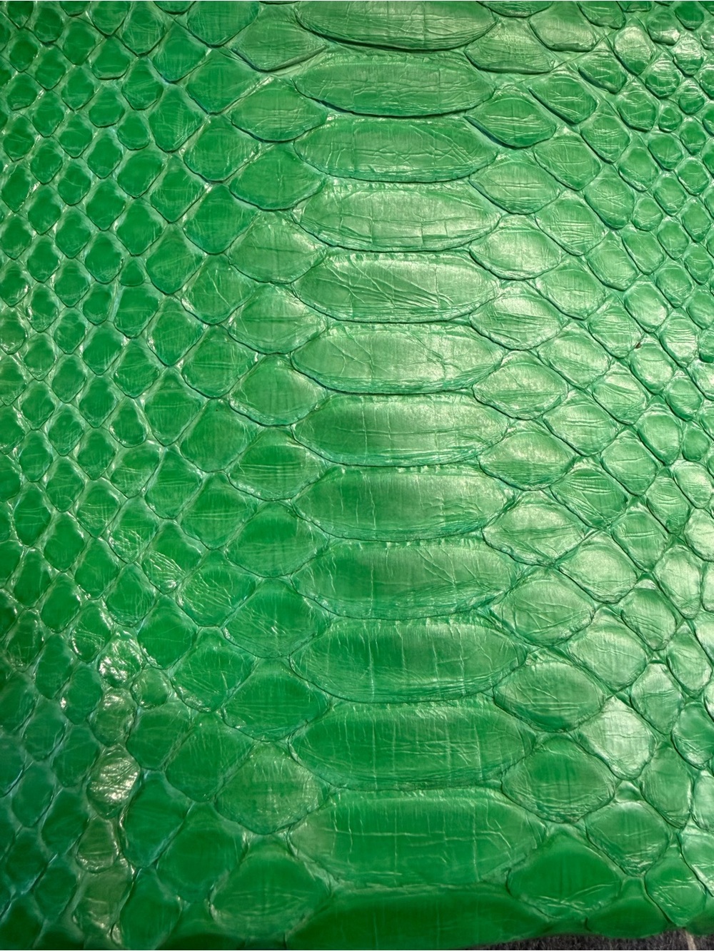 Green Python-Embossed Tassel Clutch - Picture 4 of 9